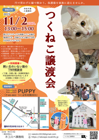 つくねこ譲渡会
