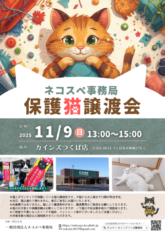 くみまち保護猫譲渡会