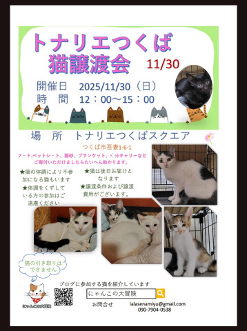 トナリエつくば譲渡会(=^・・^=)