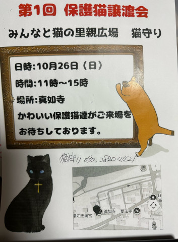 みんなと猫の里親広場　猫守り