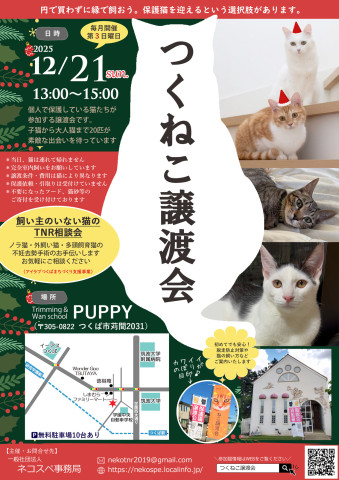 つくねこ譲渡会