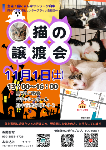 猫にゃんネットワーク府中{保護猫の譲渡会} 