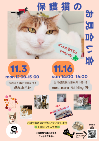 まだら家🍀保護猫のお見合い会