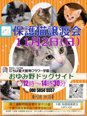 保護猫譲渡会Cat'seye