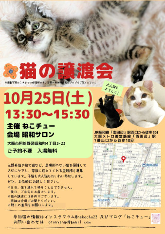 第27回ねこチュー猫の譲渡会