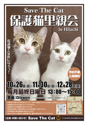 保護猫里親会 in Hitachi