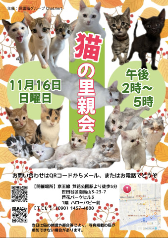 猫の里親会