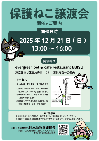 保護ねこ譲渡会＠恵比寿