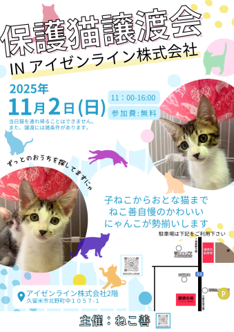 ねこ善主催 保護猫譲渡会