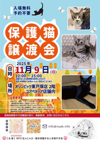 にゃぶ東戸塚オリンピック猫の譲渡会
