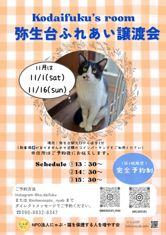 にゃぶ 弥生台ふれあい譲渡会