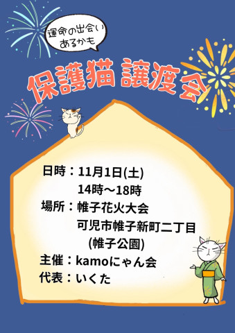 保護猫譲渡会in帷子花火大会2025