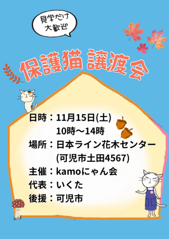 保護猫譲渡会in花木センター 20251115