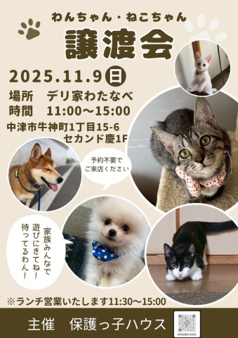 保護猫.保護犬譲渡会
