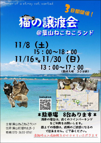 葉山ねこねこランド