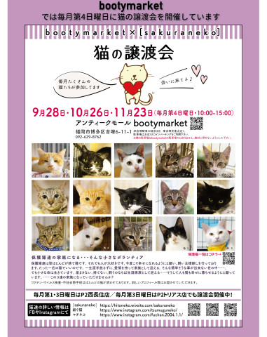 Bootymarket × [sakuraneko] 猫の譲渡会