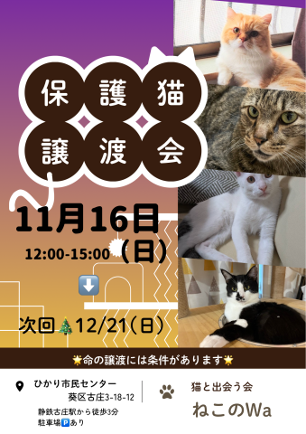 ねこのWa譲渡会　静岡市葵区