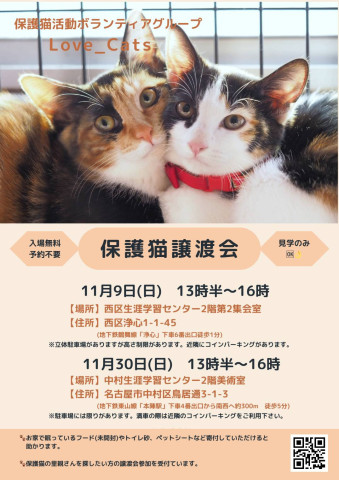 ★猫の譲渡会★名古屋市中村区