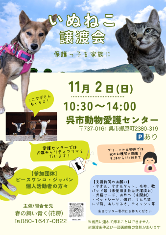 いぬねこ譲渡会