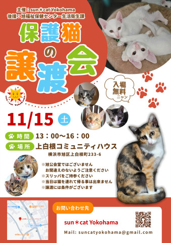 保護猫の譲渡会@sun＊cat Yokohama
