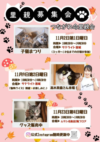 つながれ命！里親会