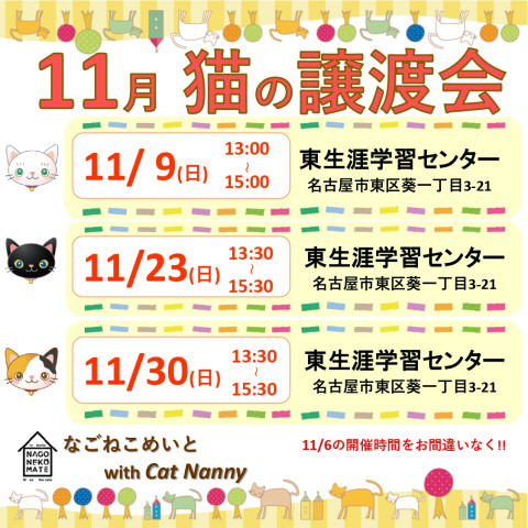 名古屋　猫の譲渡会