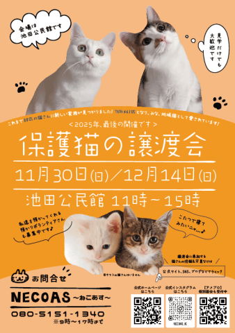 NECOAS　譲渡会　静岡市駿河区