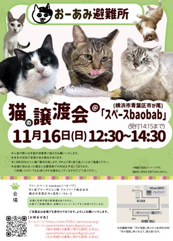 おーあみ避難所譲渡会in市ヶ尾