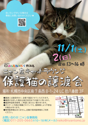 【札幌】ニャン友キャットラウンジ譲渡会〈11/1-2〉