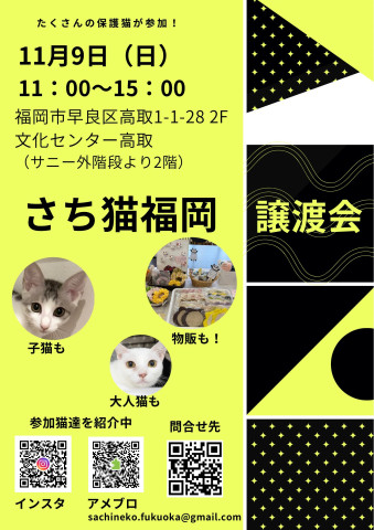 さち猫福岡譲渡会　文化センター高取
