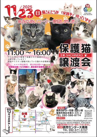 さち猫福岡譲渡会　読売センター花畑・やよい坂