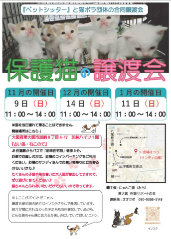 保護猫の譲渡会