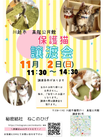 秘密結社ねこのひげ♡保護猫譲渡会