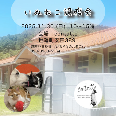 世羅contatto犬猫譲渡会