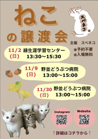11/9 保護猫譲渡会 名古屋市天白区