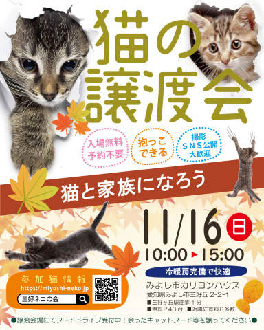 子猫大好き譲渡会★みよし市