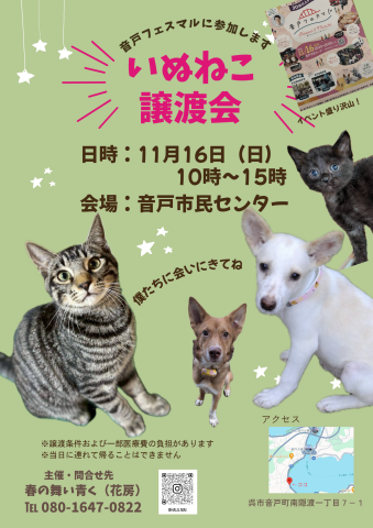 いぬねこ譲渡会