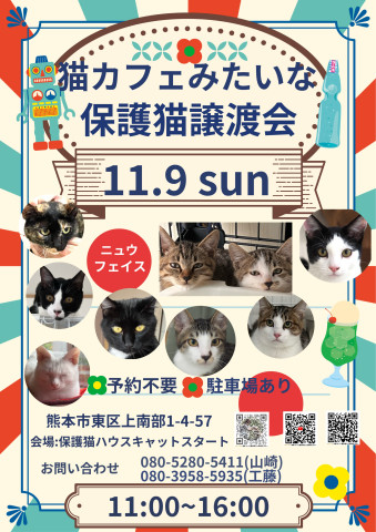 猫カフェみたいな保護猫譲渡会