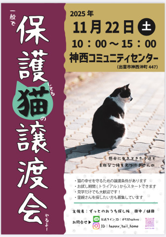 🐈保護猫　譲渡会🐈