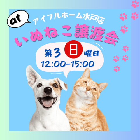 譲渡会 at アイフルホーム水戸店