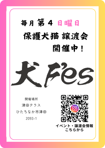 犬Fés 保護犬猫の譲渡会