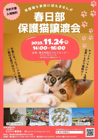 春日部保護猫譲渡会