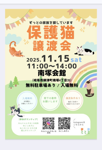 岐阜市保護猫  譲渡会