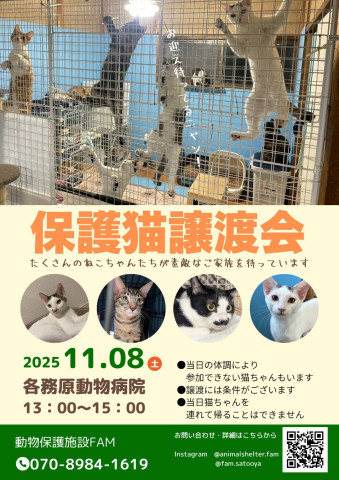 保護猫譲渡会in各務原