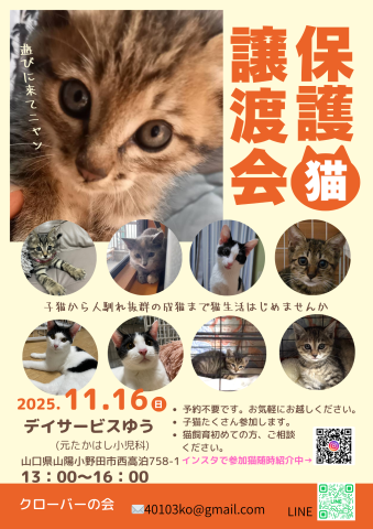クローバーの会保護猫譲渡会