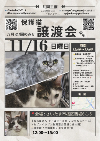 猫の譲渡会inさいたま市