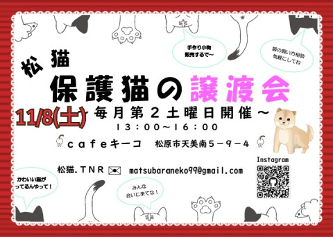 松猫 保護猫の譲渡会