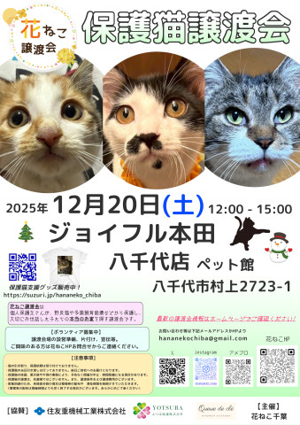 花ねこ譲渡会