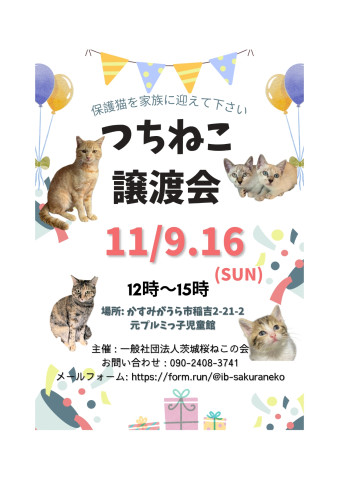 つちねこ譲渡会