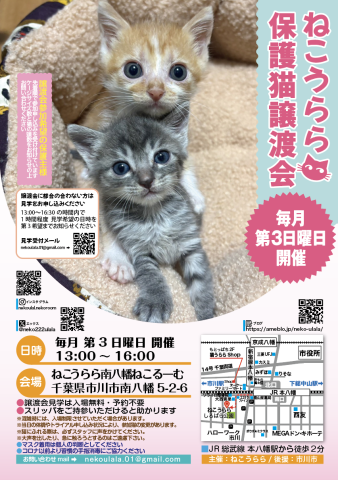 ねこうらら 保護猫譲渡会